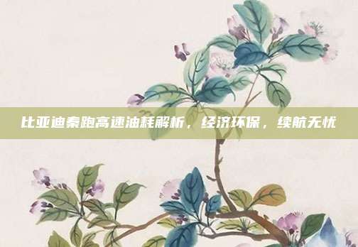 比亚迪秦跑高速油耗解析,经济环保,续航无忧