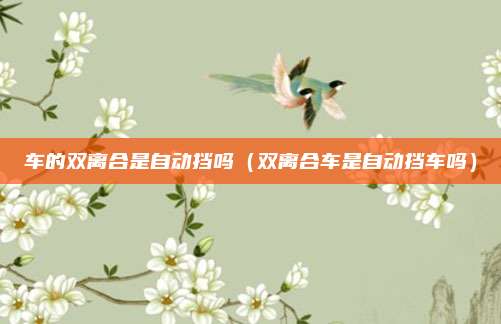 车的双离合是自动挡吗（双离合车是自动挡车吗）