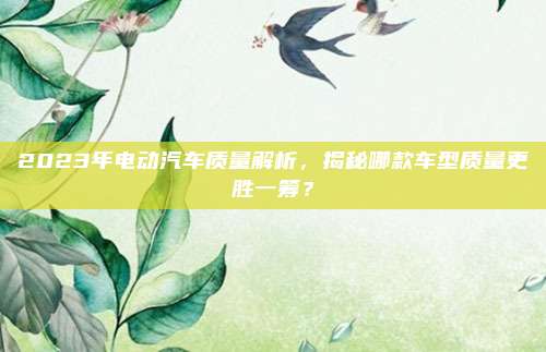 2023年电动汽车质量解析,揭秘哪款车型质量更胜一筹?