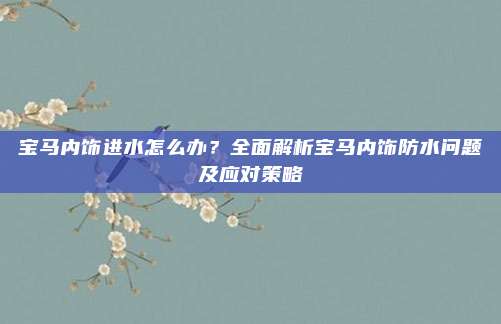 宝马内饰进水怎么办?全面解析宝马内饰防水问题及应对策略