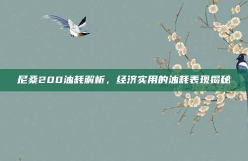 尼桑200油耗解析,经济实用的油耗表现揭秘