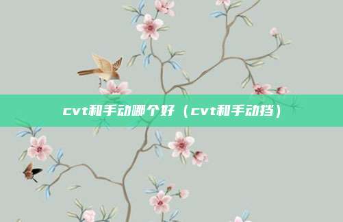 cvt和手动哪个好（cvt和手动挡）