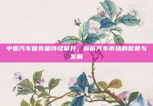 中国汽车保有量持续攀升,解析汽车市场的繁荣与发展