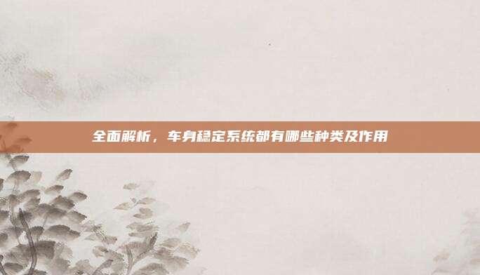 全面解析,车身稳定系统都有哪些种类及作用
