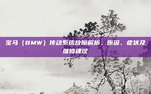 宝马(BMW)传动系统故障解析,原因、症状及维修建议