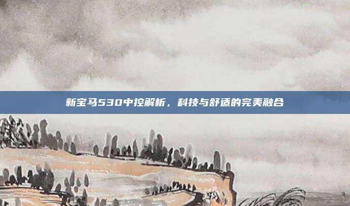 新宝马530中控解析,科技与舒适的完美融合
