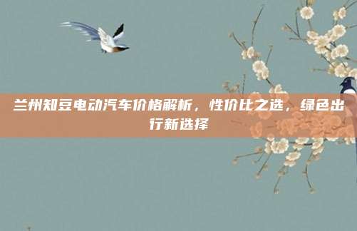 兰州知豆电动汽车价格解析,性价比之选,绿色出行新选择