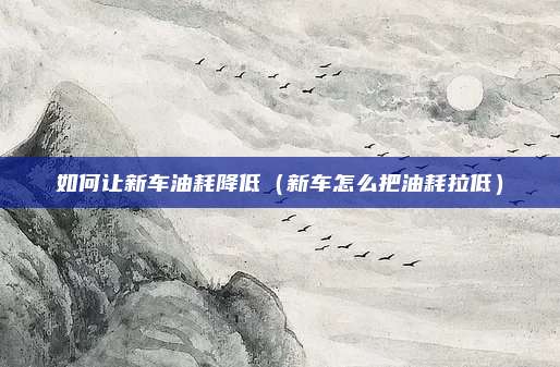 如何让新车油耗降低（新车怎么把油耗拉低）