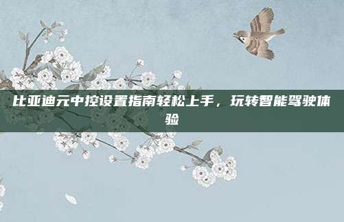 比亚迪元中控设置指南轻松上手,玩转智能驾驶体验
