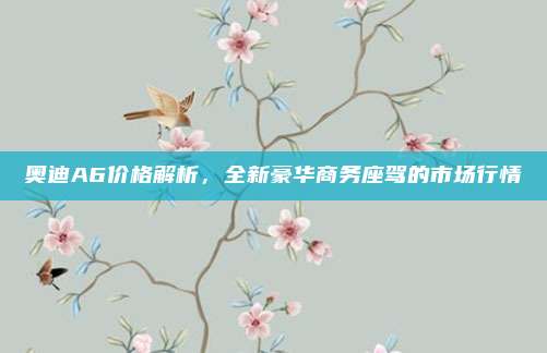 奥迪A6价格解析,全新豪华商务座驾的市场行情