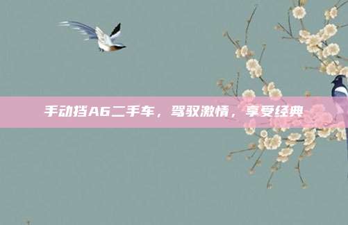 手动挡A6二手车,驾驭激情,享受经典