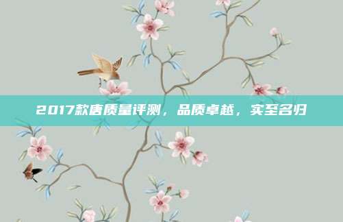 2017款唐质量评测,品质卓越,实至名归