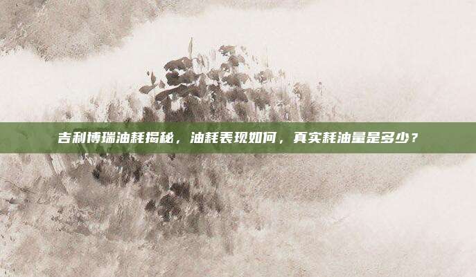 吉利博瑞油耗揭秘,油耗表现如何,真实耗油量是多少?