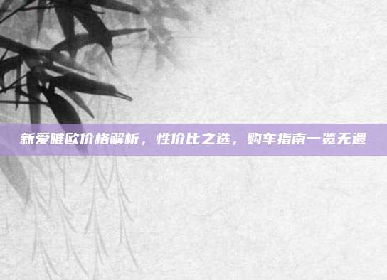 新爱唯欧价格解析,性价比之选,购车指南一览无遗