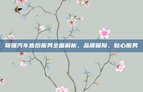 奇瑞汽车售后服务全面解析,品质保障,贴心服务