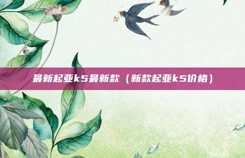 最新起亚k5最新款（新款起亚k5价格）