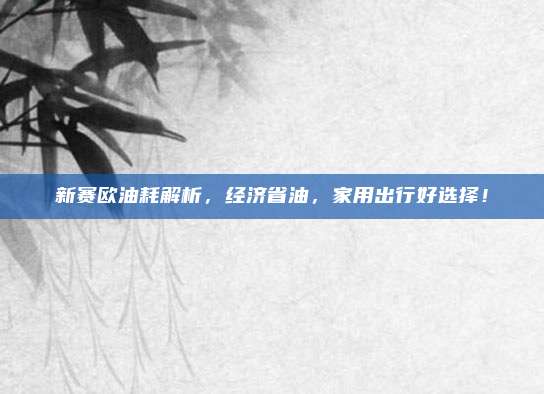 新赛欧油耗解析,经济省油,家用出行好选择!