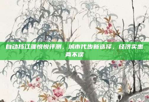 自动挡江淮悦悦评测,城市代步新选择,经济实惠两不误