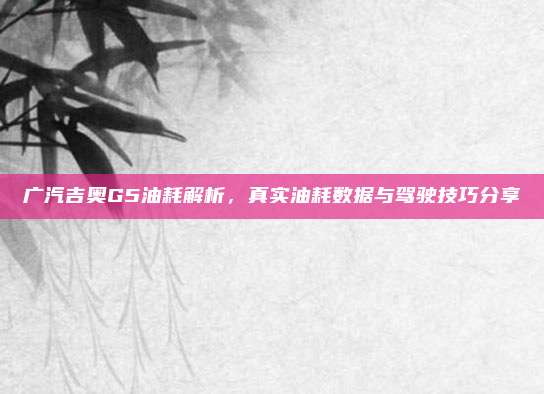 广汽吉奥G5油耗解析,真实油耗数据与驾驶技巧分享