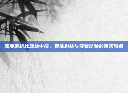 深度解析比亚迪中控,智能科技与驾驶体验的完美融合