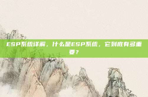 ESP系统详解,什么是ESP系统,它到底有多重要?