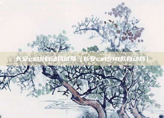 长安cs15自动挡试驾（长安cs1518款自动挡）
