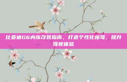 比亚迪G6内饰改装指南,打造个性化座驾,提升驾驶体验
