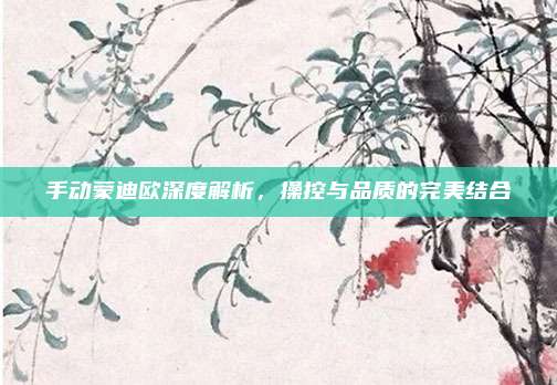 手动蒙迪欧深度解析,操控与品质的完美结合