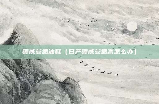 骊威怠速油耗（日产骊威怠速高怎么办）