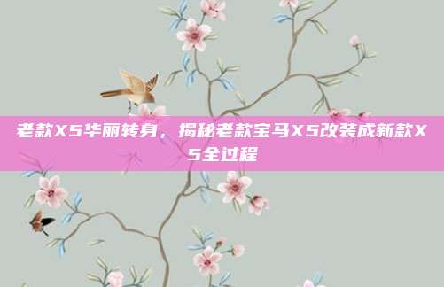 老款X5华丽转身,揭秘老款宝马X5改装成新款X5全过程
