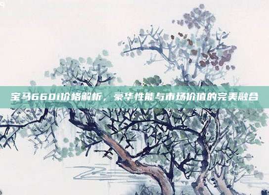 宝马660i价格解析,豪华性能与市场价值的完美融合