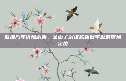 熊猫汽车价格解析,全面了解这款新晋车型的市场定位