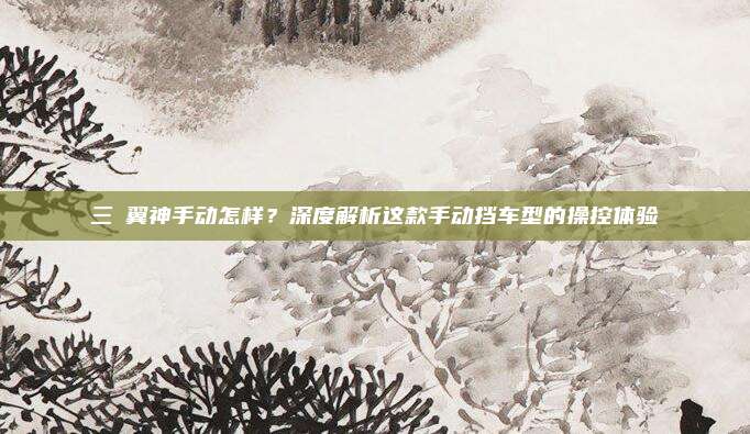 三夌翼神手动怎样?深度解析这款手动挡车型的操控体验