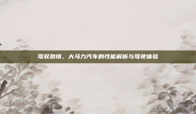 驾驭激情,大马力汽车的性能解析与驾驶体验