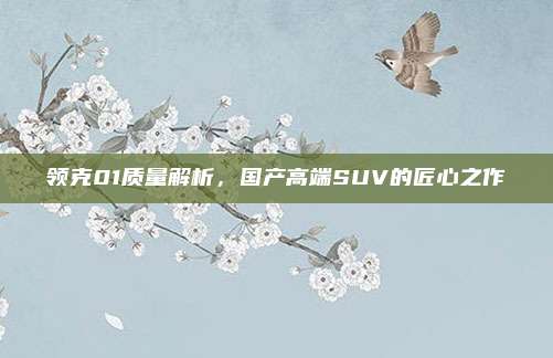 领克01质量解析,国产高端SUV的匠心之作