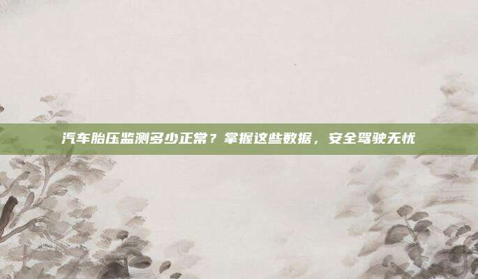 汽车胎压监测多少正常?掌握这些数据,安全驾驶无忧