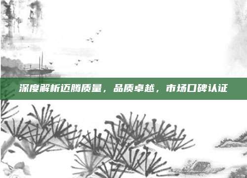深度解析迈腾质量,品质卓越,市场口碑认证
