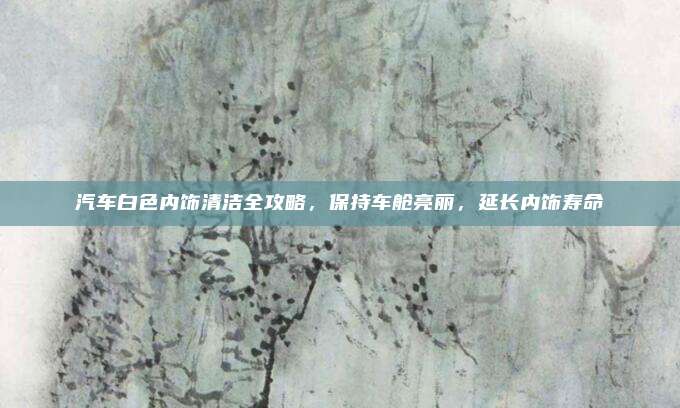 汽车白色内饰清洁全攻略,保持车舱亮丽,延长内饰寿命