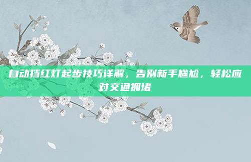 自动挡红灯起步技巧详解,告别新手尴尬,轻松应对交通拥堵
