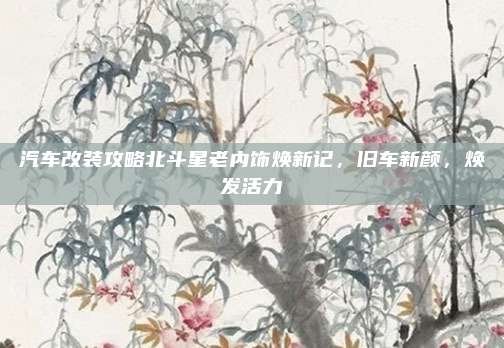 汽车改装攻略北斗星老内饰焕新记,旧车新颜,焕发活力