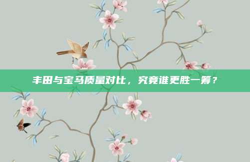 丰田与宝马质量对比,究竟谁更胜一筹?