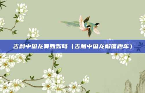 吉利中国龙有新款吗（吉利中国龙敞篷跑车）