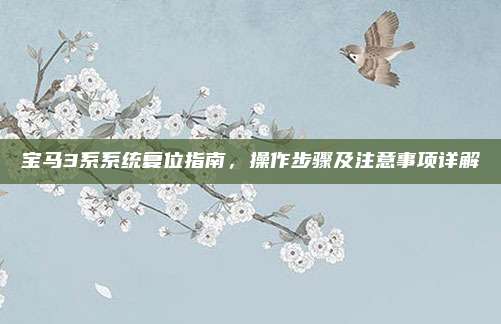 宝马3系系统复位指南,操作步骤及注意事项详解