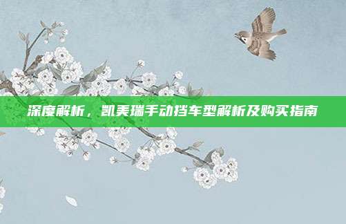 深度解析,凯美瑞手动挡车型解析及购买指南