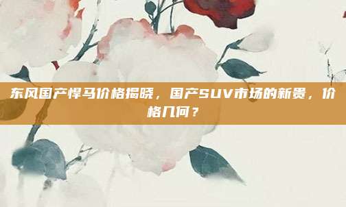 东风国产悍马价格揭晓,国产SUV市场的新贵,价格几何?