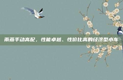 雨燕手动高配,性能卓越、性价比高的经济型小车