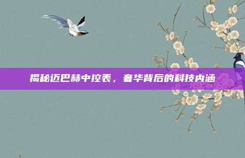 揭秘迈巴赫中控表,奢华背后的科技内涵