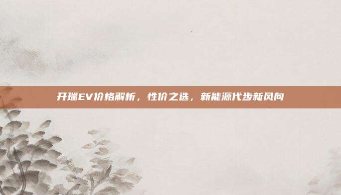 开瑞EV价格解析,性价之选,新能源代步新风向