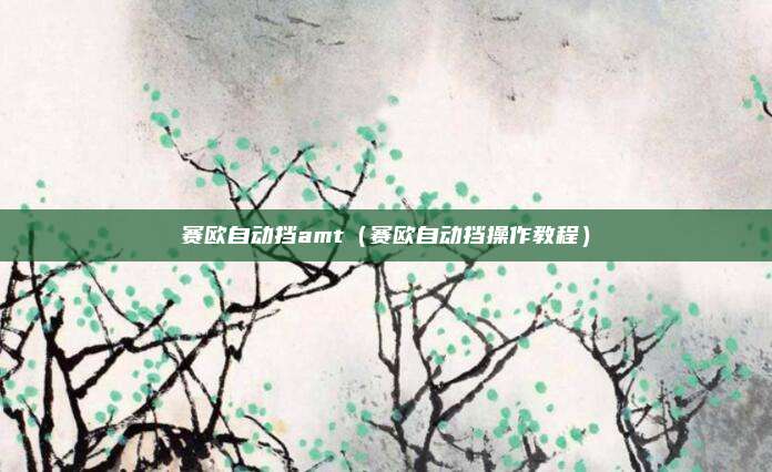 赛欧自动挡amt（赛欧自动挡操作教程）