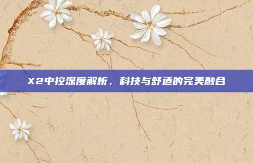 X2中控深度解析,科技与舒适的完美融合